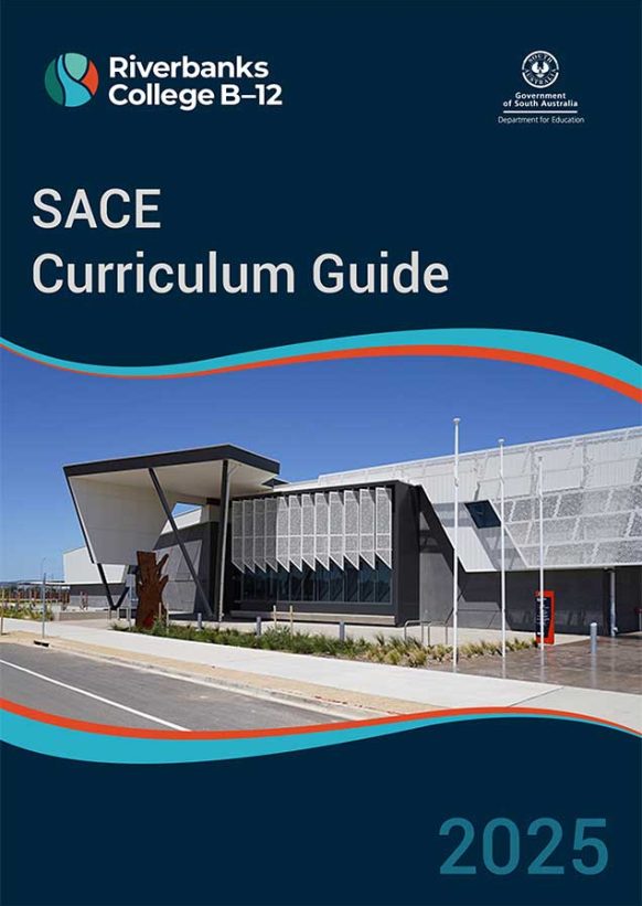 curriculum-guide-sace